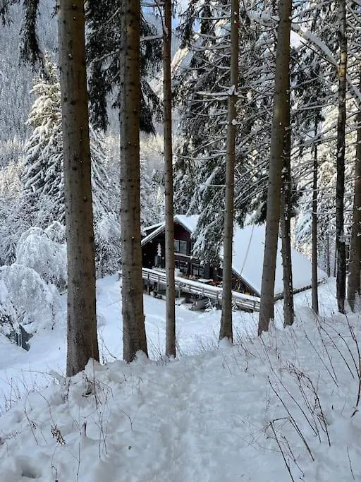 Large Peaceful Chalet For Mountain Adventures! Perfect For Flegere And Grand Montet Skiing شامونكس