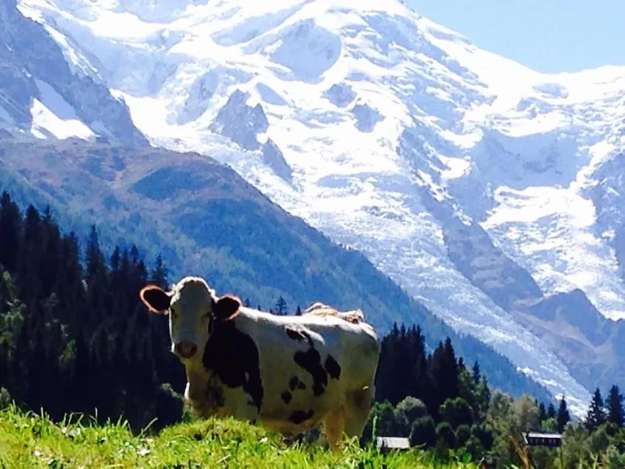 Large Peaceful Chalet For Mountain Adventures! Perfect For Flegere And Grand Montet Skiing شامونكس