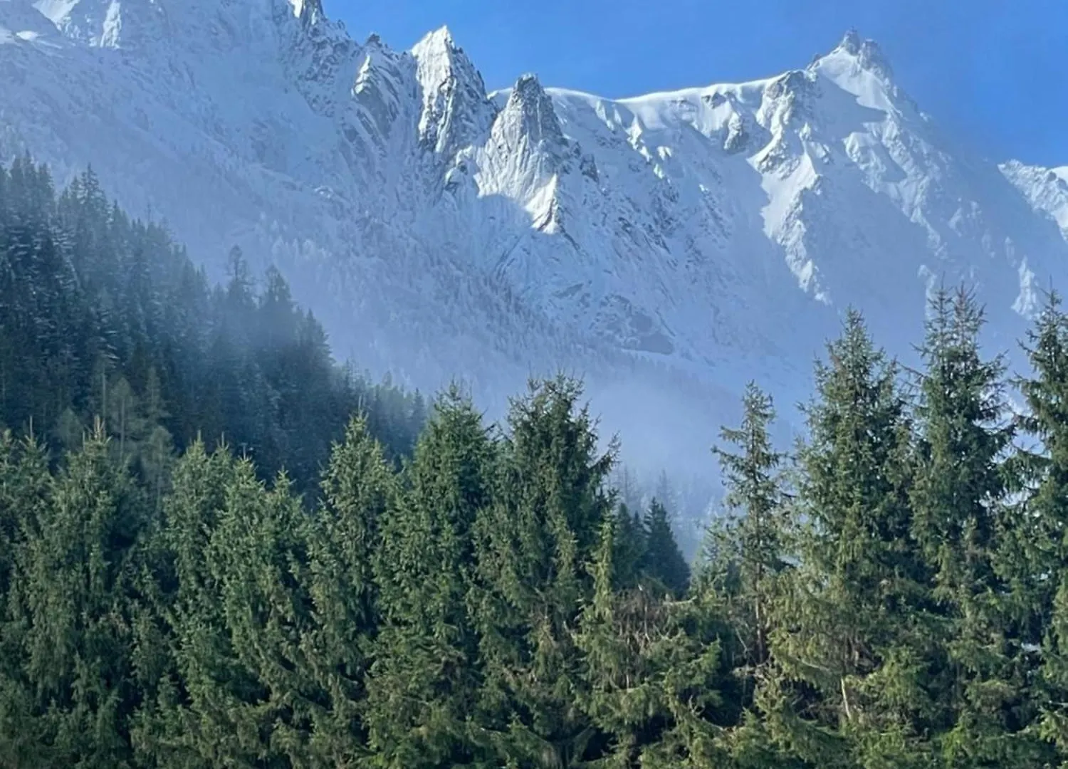 Large Peaceful Chalet For Mountain Adventures! Perfect For Flegere And Grand Montet Skiing شامونكس 0*,