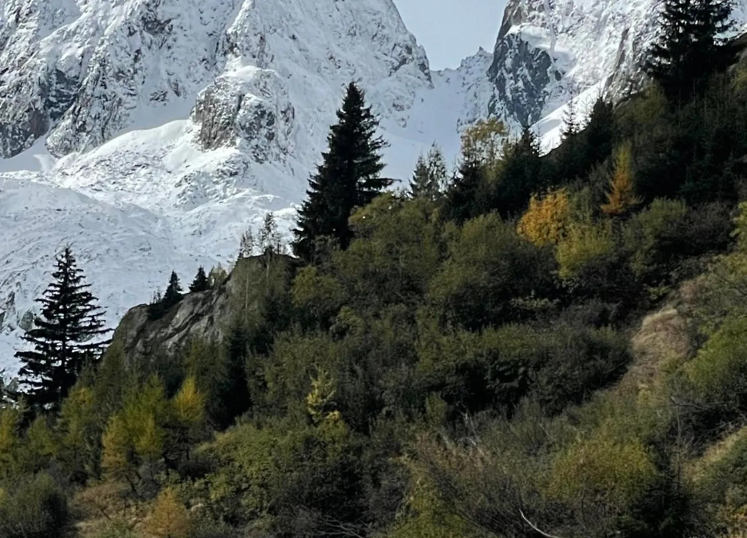 Large Peaceful Chalet For Mountain Adventures! Perfect For Flegere And Grand Montet Skiing شامونكس فرنسا