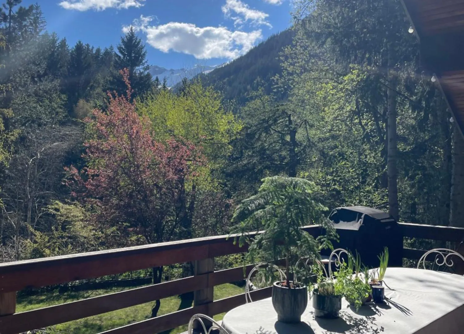 Large Peaceful Chalet For Mountain Adventures! Perfect For Flegere And Grand Montet Skiing Σαμονί